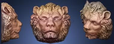 3D model Lion Bas Relief (STL)